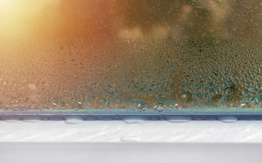 Condensation on Windows?